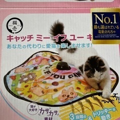 キャッチミーイフユーキャン2      猫壱