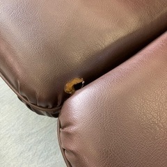 ソファ譲りますの画像