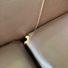 ソファ譲りますの画像