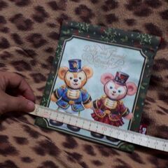 ダッフィー　きんちゃく　の画像