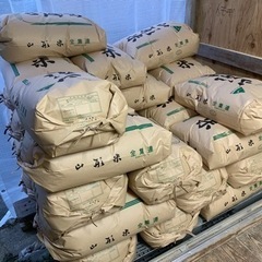 はえぬき▲新米！2袋セット！1袋あたり6500円！令和5年度産！
