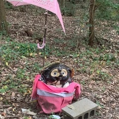 【東広島勤務◎未経験さん積極採用中！】東広島市で軽貨物ドライバーのお仕事をお探しの方、お気軽お問い合わせください♪慣れるまで親切丁寧に指導します。ダブルワークOK！週2からの勤務可能、ご自身のライフスタイルに合わせた働き方が出来ます。の画像