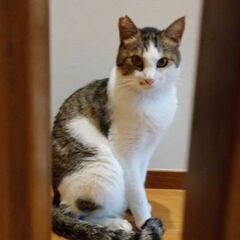 里親さん募集中！！