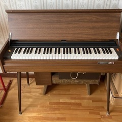 【確約済み】ブラザー 電動オルガン GO-115 正規店購入品 ...