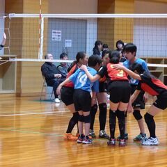 【枚方牧野シャインズ】小学生男女部員募集中！初歩から！（もちろん...