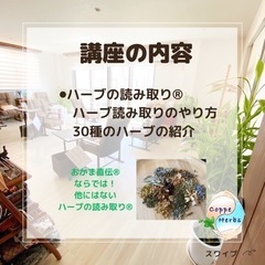 おかま直伝よもぎ蒸し®︎講座の画像