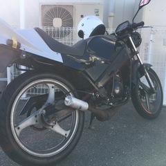 スズキ　WOLF50