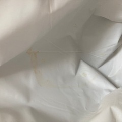 【レア】【値下げ】コロナビール保冷リュックの画像