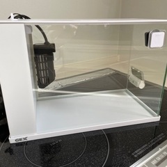 【値下げ】水槽　その他セット
