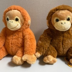 オランウータンの中古が安い！激安で譲ります・無料であげます