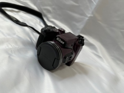 Nikon カメラ