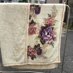 引渡済 中古　２枚合わせふわふわ毛布　オフホワイト系の画像