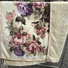 引渡済 中古　２枚合わせふわふわ毛布　オフホワイト系