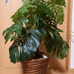 モンステラ　フェイクグリーン　人工観葉植物　インテリアの画像