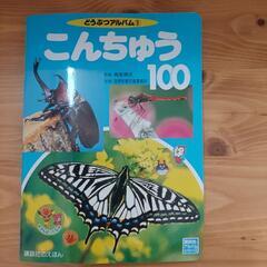 値下げ　子供用絵本セット4冊　新品ありの画像
