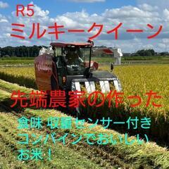 R5 食味値84点！ ミルキークイーン 先端農家米