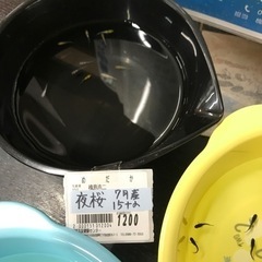 各種メダカ幼魚達の画像