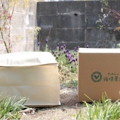 【段ボールコンポストキット: 循環生活研究所】※本日中引き渡し限定