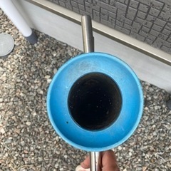 種子巻く用の画像