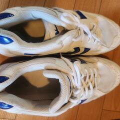 体育館シューズ　本多聞中学指定の画像