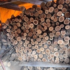 終了★薪 今冬使用可の画像