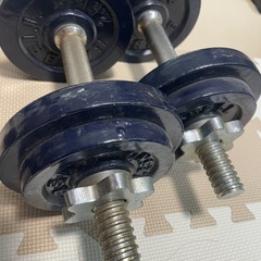 ダンベル10kg×2セット