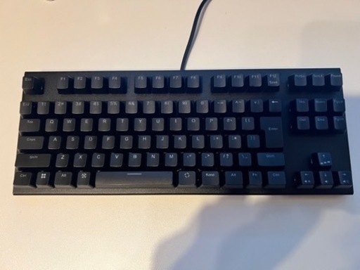 東プレ REALFORCE GX1 日本語 45g