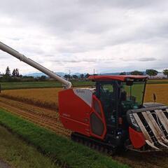 福島県猪苗代町で稲わらお安く譲ります!の画像