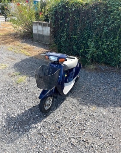 651. 動画あり　ヤマハ　ミント　原付　バイク　50cc   2スト　車体　埼玉