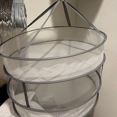 図の中のハンガー全部の画像