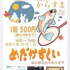 いよいよ明日10/1めだかすくい