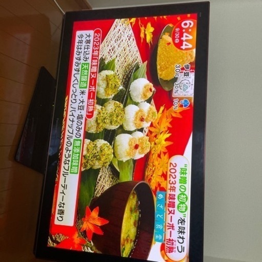 Panasonic  TH-P42VT33  テレビ