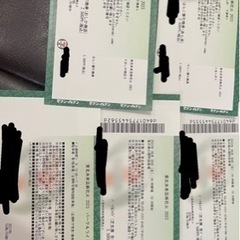 【急募】東北未来芸術花火大会 芝生席2枚 はらこ飯2枚 駐車場付