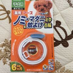 ペット用品(決まりました)