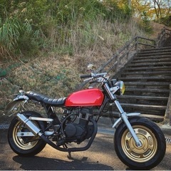 ホンダ　APE エイプ　50 原付　車体　キャブ　バイク　完全早...