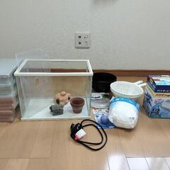 水槽スタートセット