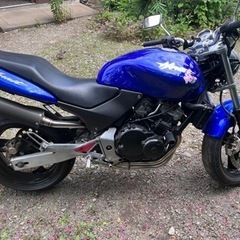 ホンダ ホーネット250 現状販売の画像