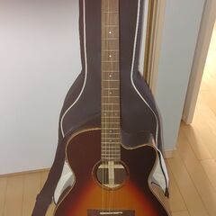 アコースティックギター(エレアコ)