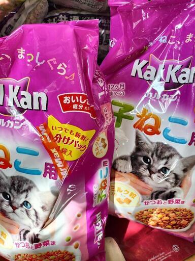 値下げ【急募】子猫用フード