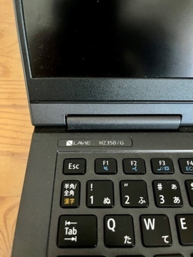 NEC LAVIE HZ350/G