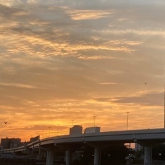 新規グループ雑談メンバー募集