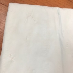 新品未使用　尿とりパッド　尿とりシーツ　バラ11枚の画像