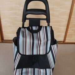 美品／3輪ショッピングキャリーカート  