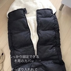 エアバギーココ　ブレーキ付き　2WAYボート付き　付属品全部込みの画像