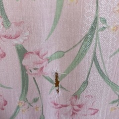 座布団14枚あげますの画像