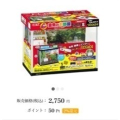 🐟処分‼️水槽　金魚のお部屋ブラックS
