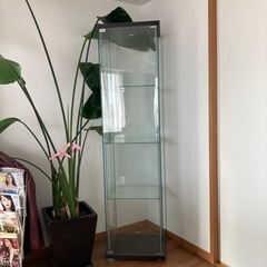IKEA DETOLF ガラス扉 キャビネット コレクション デ...