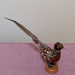 鳥のはく製