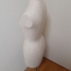 洋服ボディの画像