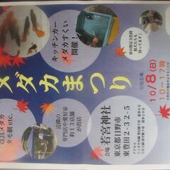 メダカ　お知らせ！！！　